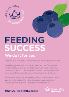 A description of the Feeding Success value of Queen Mary Food